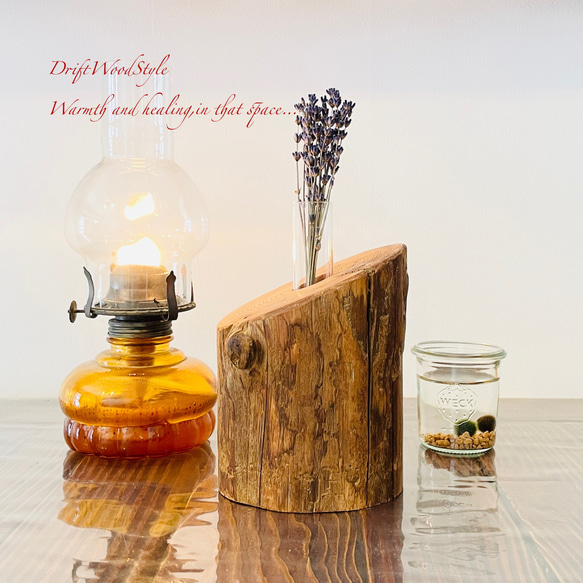 流木インテリア シンプルな流木の一輪挿し N9 5枚目の画像