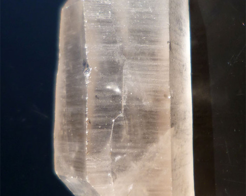 1209 龍の鱗 ドラゴンスケール レムリアンシード ソウルメイトツイン