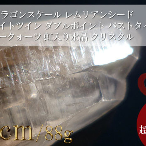 1209 龍の鱗 ドラゴンスケール レムリアンシード ソウルメイトツイン