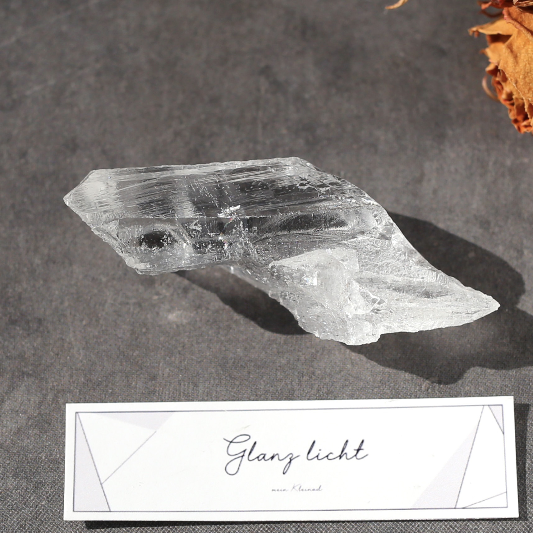 ピュアレイ レムリアンルーツ  透明 原石 クリスタル 天然石 水晶 鉱物 一点物