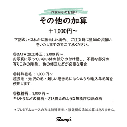 うちの子オーダー2025【おまかせコース：オーダーメイド羊毛猫犬】（ウッドパネル） ペットメモリアル2025 14枚目の画像