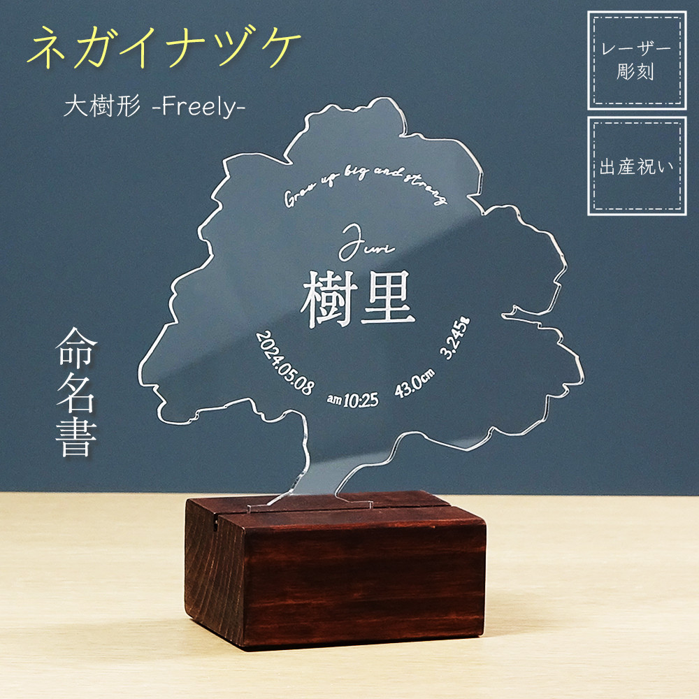 命名書 赤ちゃん 出産 子供 メモリアル 名入れ 名前 出産祝い 誕生祝い 思い出 記念 ギフト プレゼント アクリル