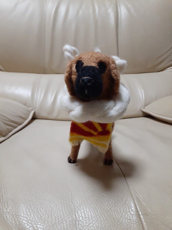 羊毛フェルト 土佐犬 羊毛フェルト Kingこうた 通販 18975495