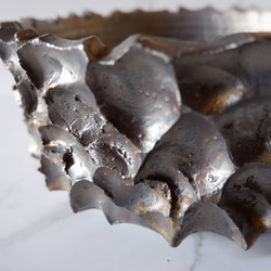 8号燻し金彩盆栽鉢930　塊根植物　多肉植物　盆栽　植木鉢　作家鉢　鉢皿　沖縄 2枚目の画像