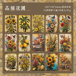  第4張的照片