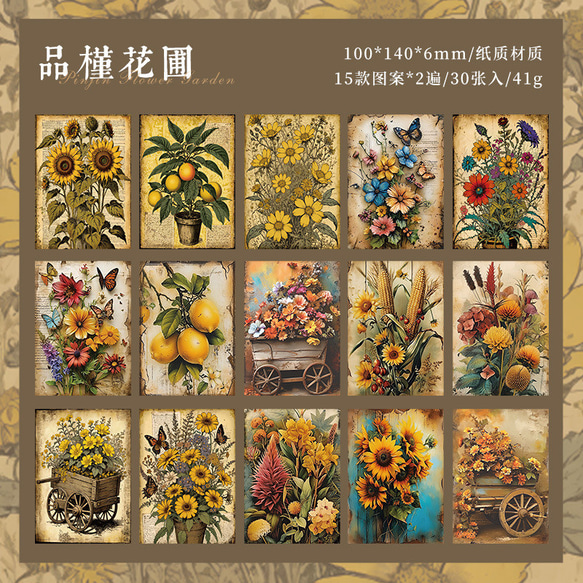  第4張的照片