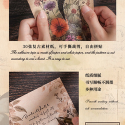  第6張的照片