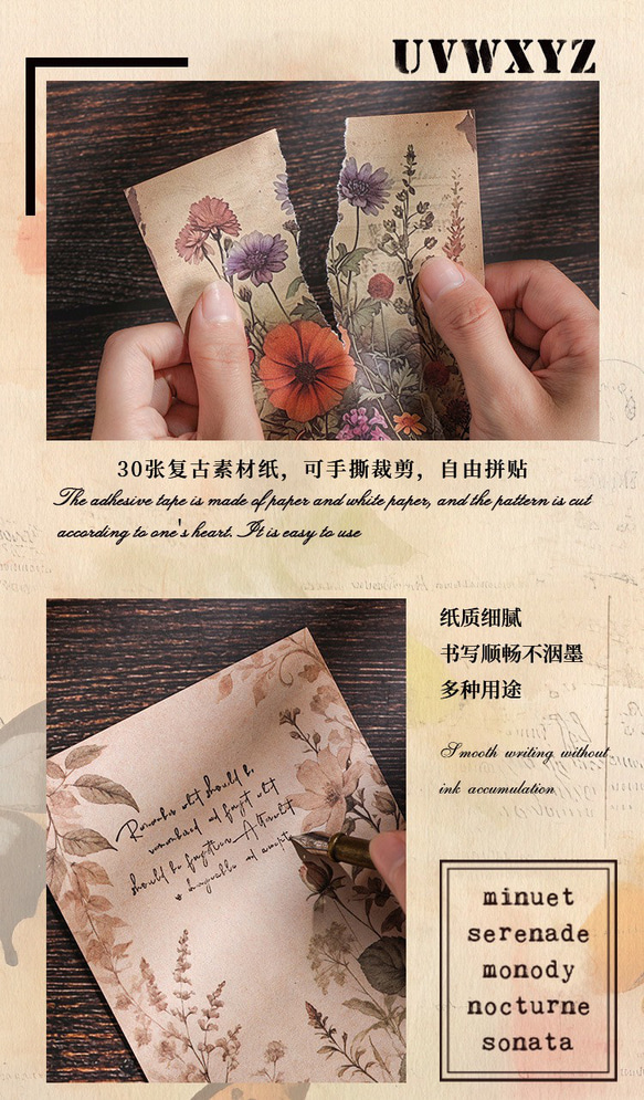  第6張的照片