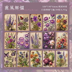  第2張的照片