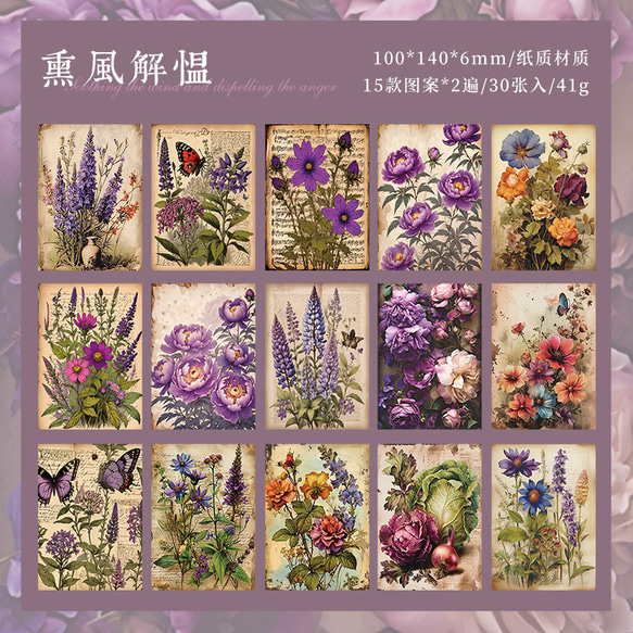  第2張的照片