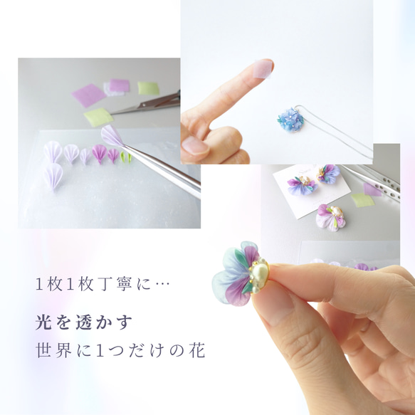  第7張的照片