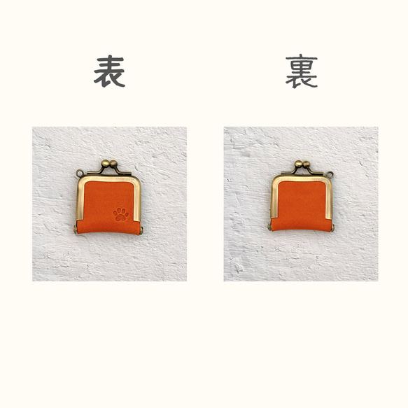  第2張的照片