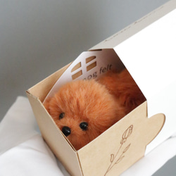 受注生産∗ 羊毛フェルト∗うちの子オーダー∗犬∗プレゼント