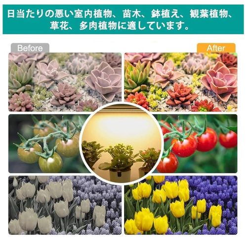 植物育成LEDライトスタンド4灯［ウォールナット］ スタンド