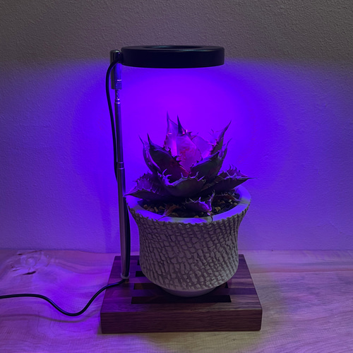 植物育成LEDライトスタンドミニ［ウォールナット］ スタンドライト