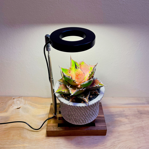 植物育成LEDライトスタンドミニ［ウォールナット］ スタンドライト