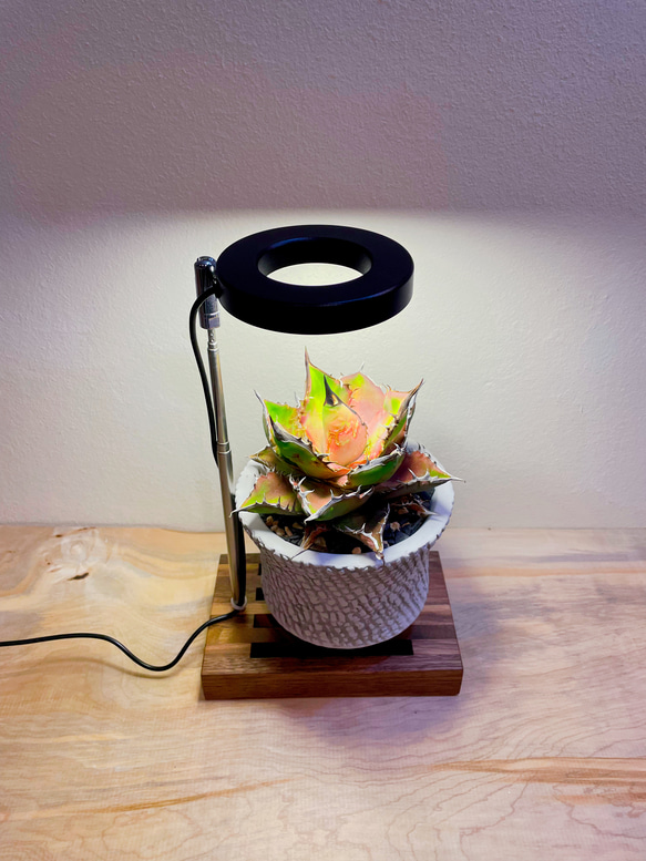 植物育成LEDライトスタンドミニ［ウォールナット］ スタンドライト