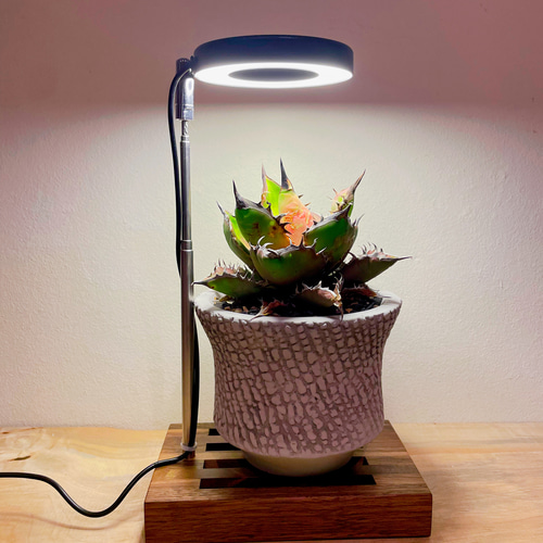 植物育成LEDライトスタンドミニ［ウォールナット］ スタンドライト