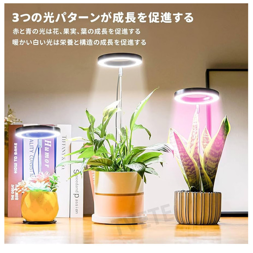 植物育成LEDライトスタンドミニ［ウォールナット］ スタンドライト