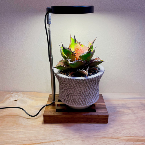 植物育成LEDライトスタンドミニ［ウォールナット］ スタンドライト