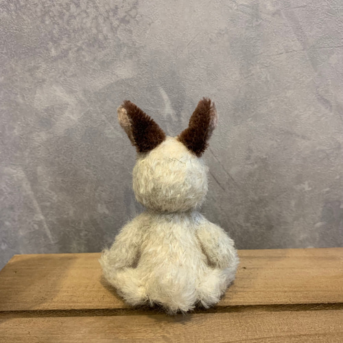 fluffyteddy＊手染めヒマラヤンうさぎ。 fluffyteddy＊手染めヒマラヤンうさぎ。