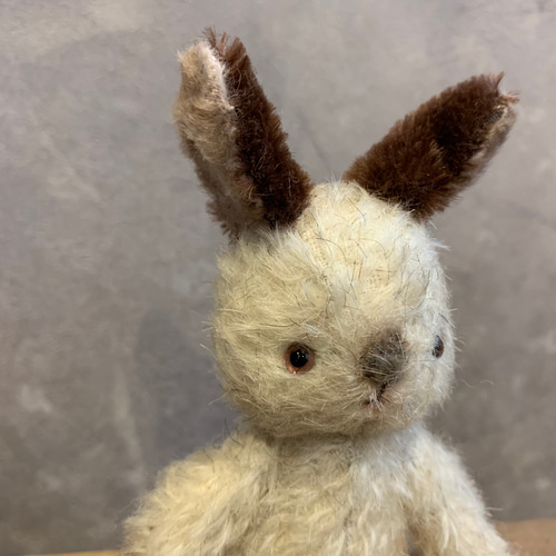 ヒマラヤンうさぎさん ぬいぐるみ atelier mum 通販 18980480｜Creema