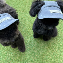 犬 ドレス のおすすめ人気通販 検索結果｜Creema(クリーマ
