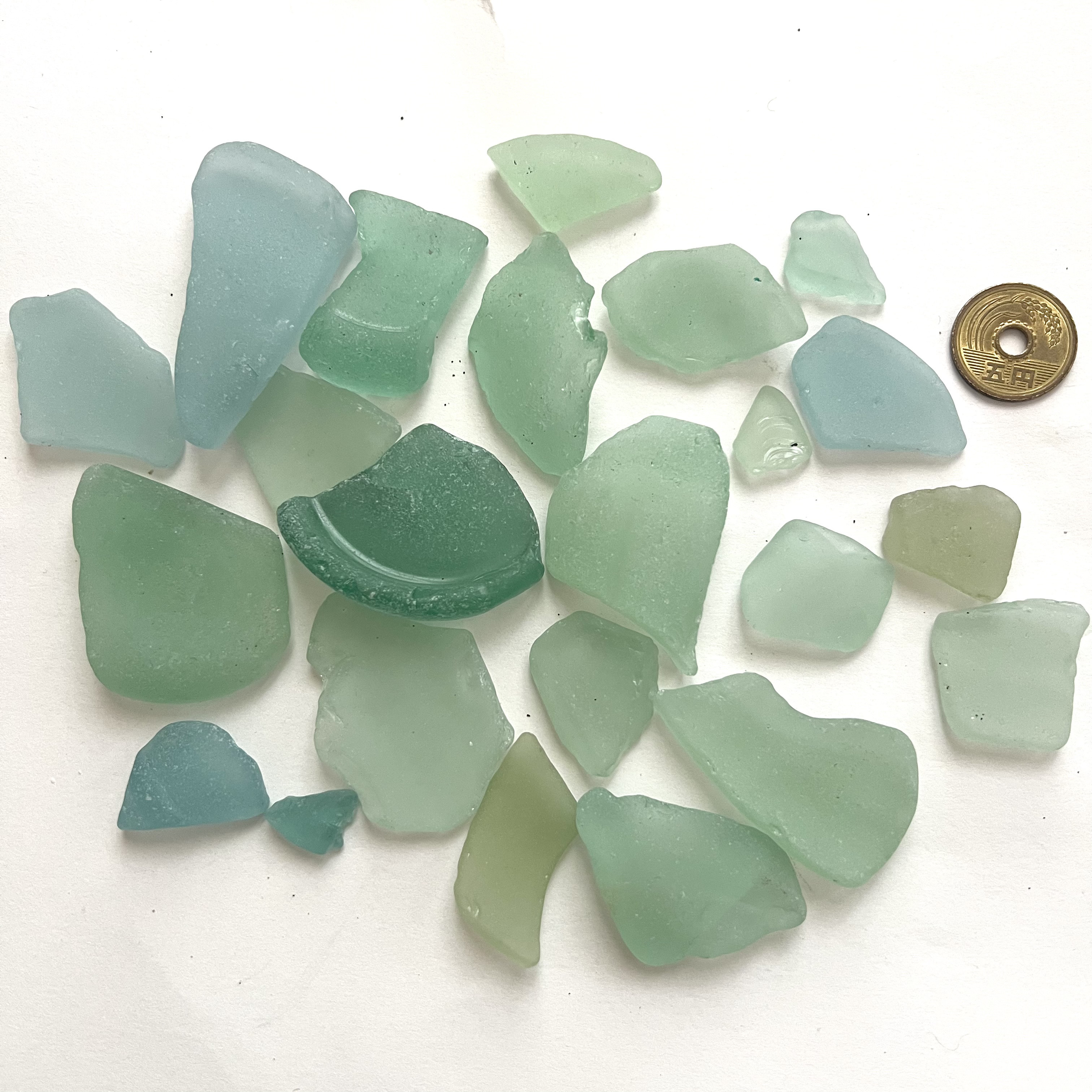 ナチュラルシーグラス　AH01 ブルー、グリーン系　小〜中