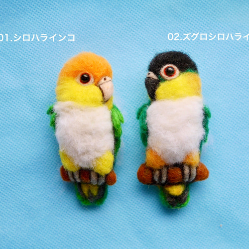 ふわふわシロハラインコの羊毛フェルトブローチ 羊毛フェルト インコと
