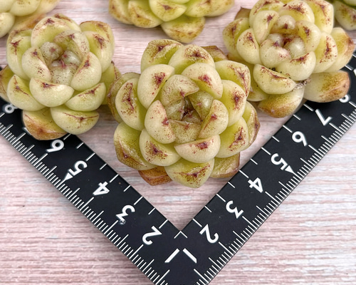 522740f8d497798b2547ab15180e09