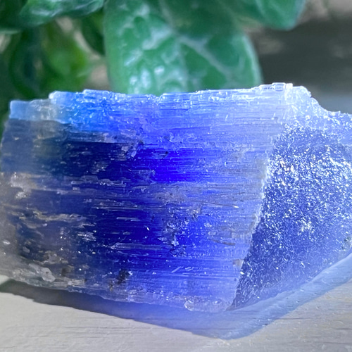 古代の海からの贈り物✨ フランス産 ブルー ハライト 岩塩 原石 古代の海からの贈り物✨ フランス産 ブルー ハライト 岩塩 原石