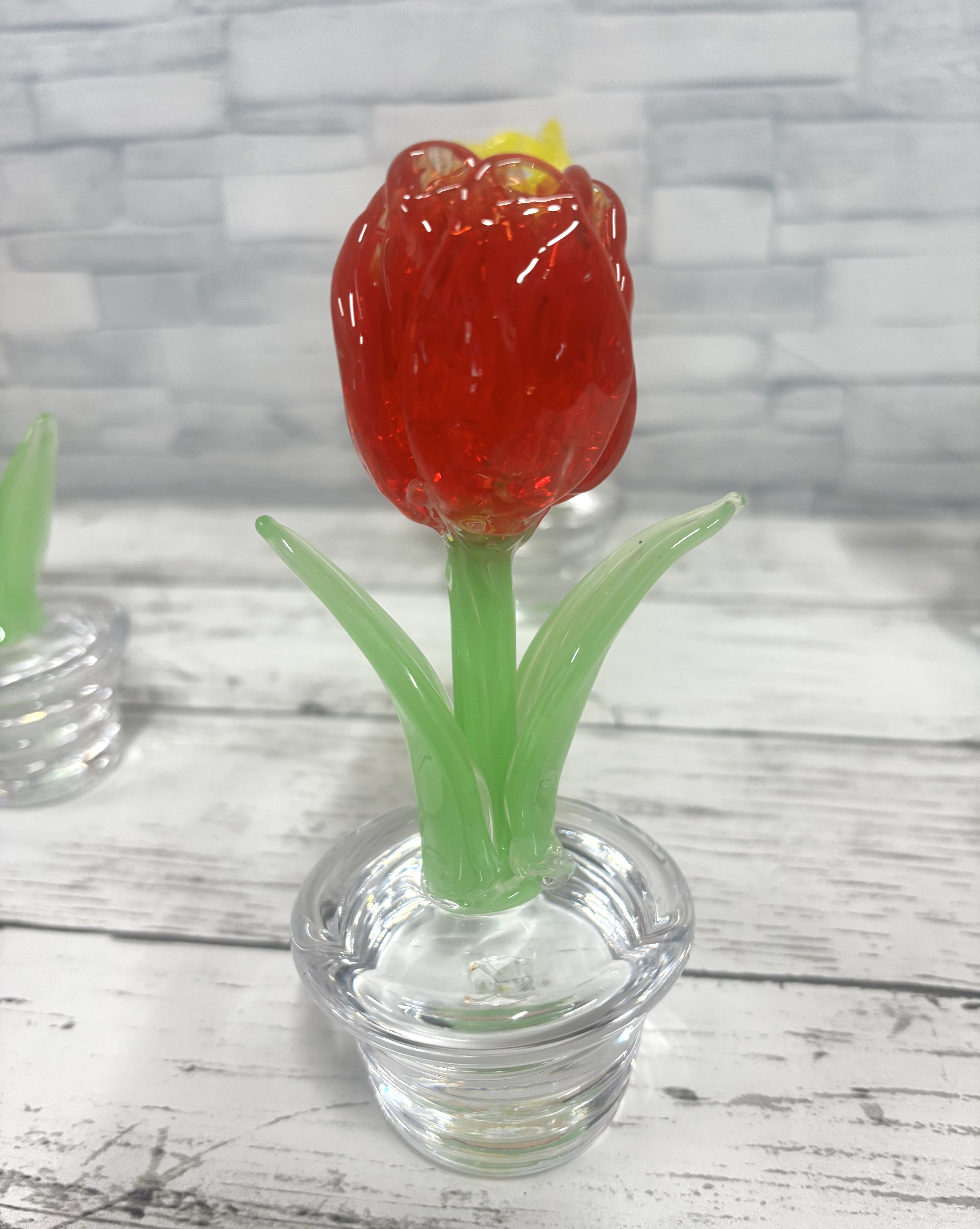 3月の鉢植え　赤色のチューリップ