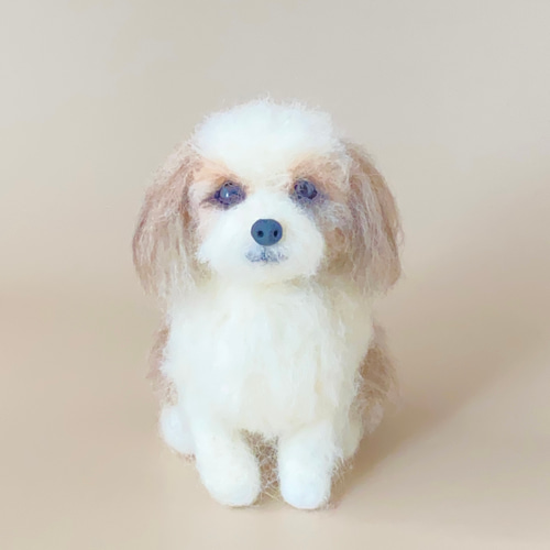 羊毛フェルト　シーズー NEW＞シーズー☆羊毛フェルト人形☆【1点限定販売】 羊毛