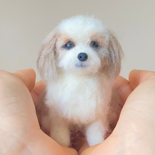 いつでもいっしょ♪ 羊毛フェルトのちいさなシーズー ふわふわ犬