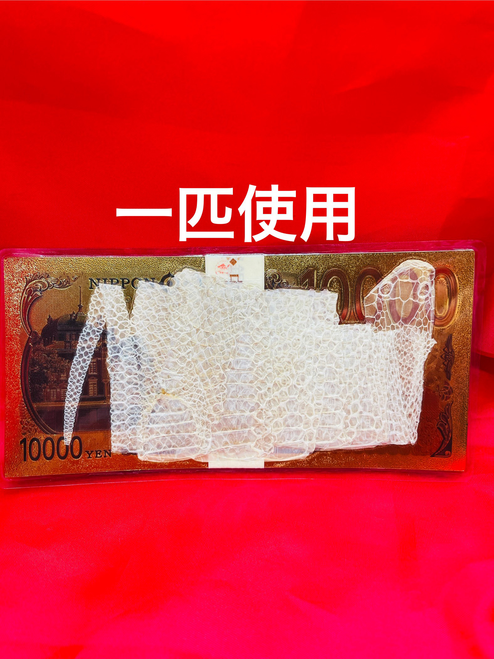 C-32 お守り　白蛇　抜け殻