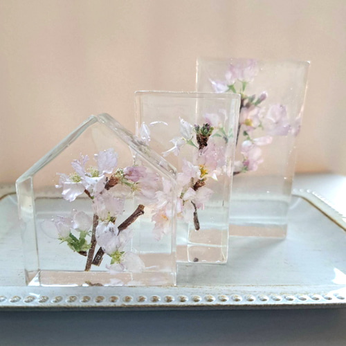 さくら咲く《枯れない桜》フラワーレジン 透明樹脂(レジン)製 啓翁桜
