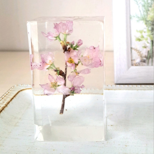 さくら咲く《枯れない桜》フラワーレジン 透明樹脂(レジン)製 啓翁桜
