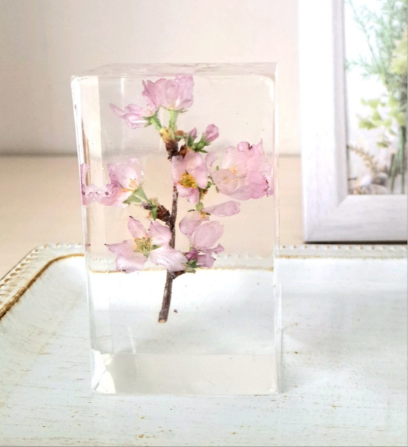 桜　レジン　インテリア さくら咲く《枯れない桜》フラワーレジン 透明樹脂(レジン)製 啓翁桜