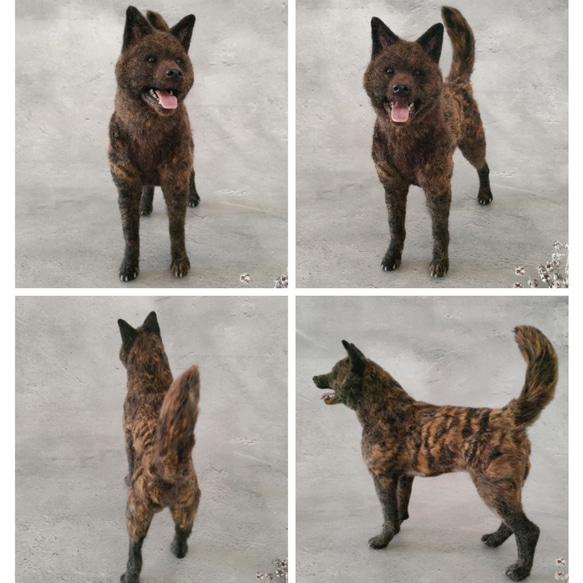 YT様　甲斐犬　羊毛フェルト　確認用 YT様甲斐犬羊毛フェルト確認用