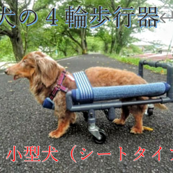 四輪歩行器、犬歩行器、犬車椅子（ミニチュアダックス専用