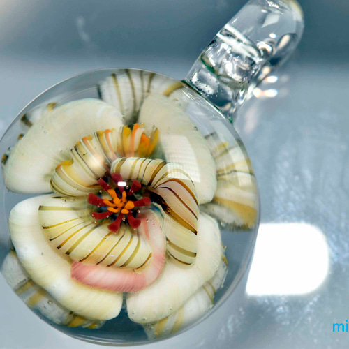 フラワー ガラスのペンダントトップ (12168-P21) GLASS FLOWER