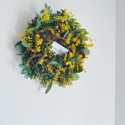 Botanical wreath 6 popolus ユーカリポポラスリース リース Creams