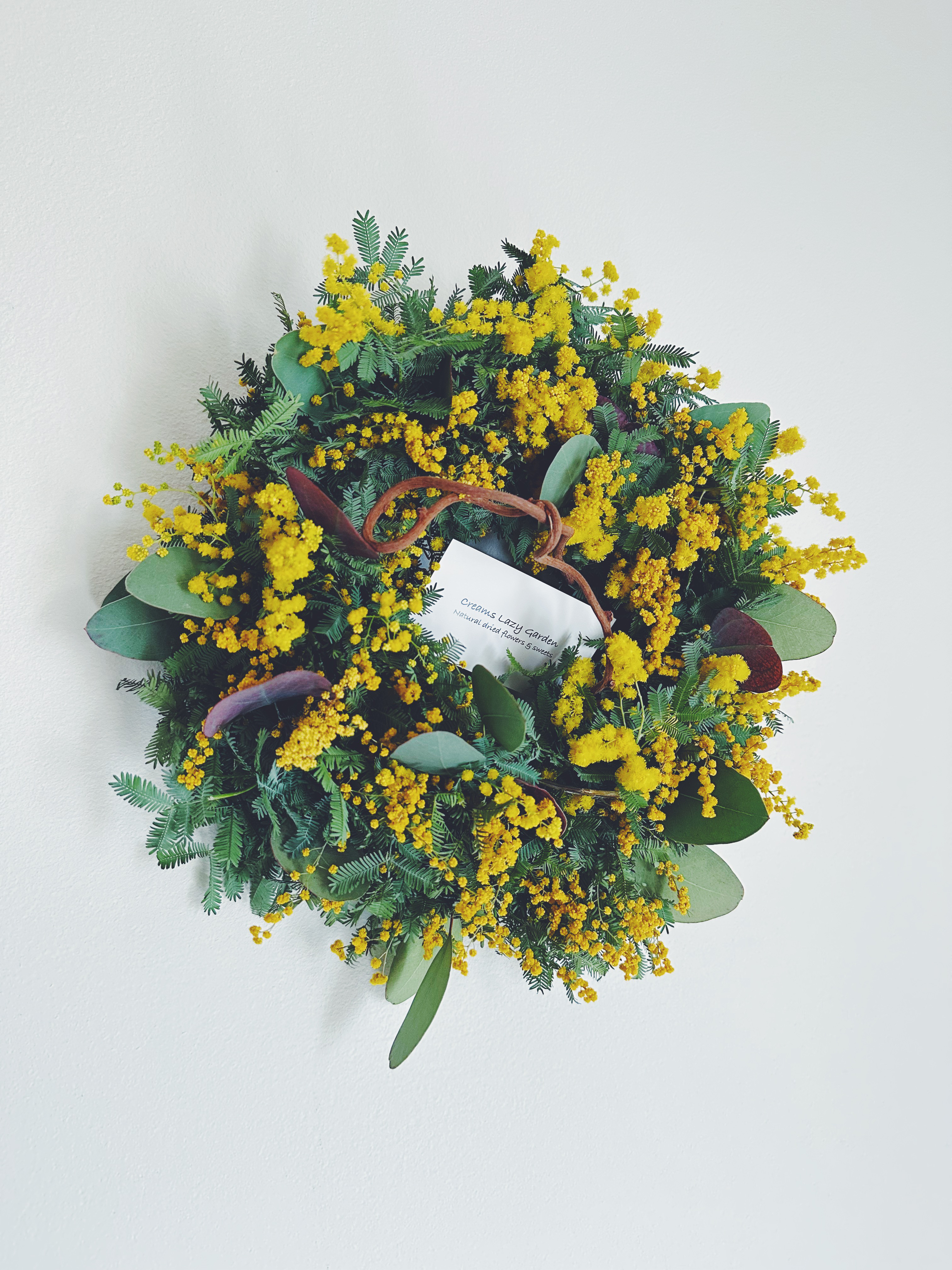 5-3ミモザと銅葉ポポラスのリース/ 32㎝