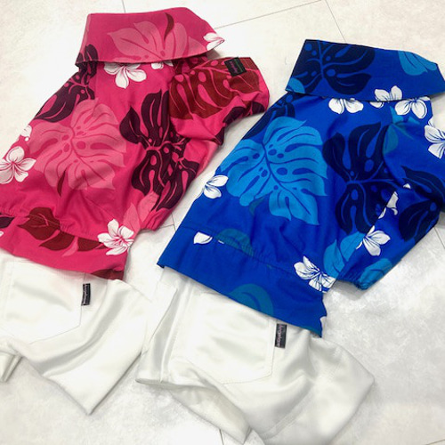 イタグレ　ワンピース 一目惚れしたワンピース | ミニピン&イタグレのいる暮らし