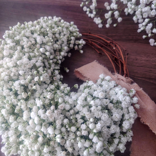 1.かすみ草ハーフリース かすみ草のハーフリース（生花→ドライフラワー） | 花家flor