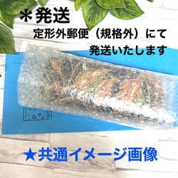 着物リメイク　メガネケースハード　ハンドメイド　和柄　05 6枚目の画像