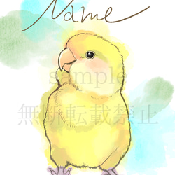 世界に一枚の鳥さんのイラストお描きいたします！ イラスト お