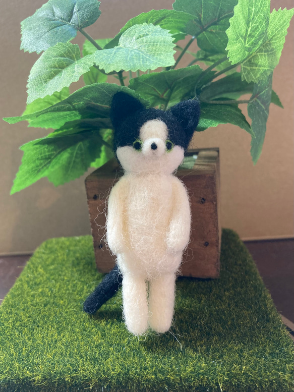 ハチワレ猫 羊毛フェルト 羊毛フェルト ねこぴっぴ 通販 18994204