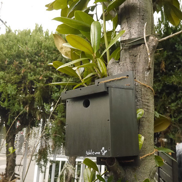 木製巣箱　シジュウカラ　野鳥用巣箱　バードハウス 2枚目の画像