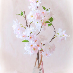 コスモス・秋を楽しむ4色の秋桜の花 18輪 【Lサイズ】～ クリアタグ